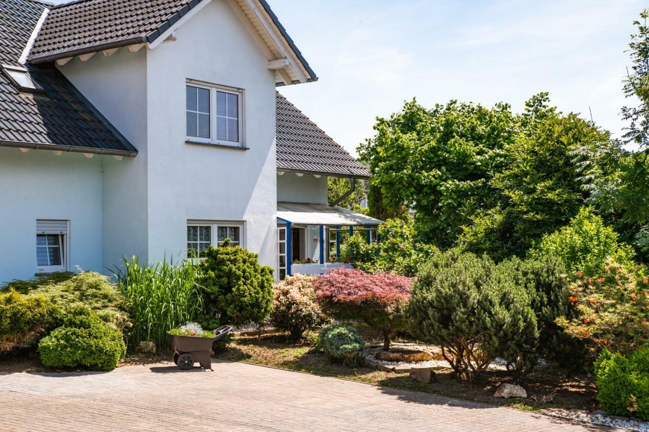 Das Blaue Haus Daufenbach Екстериор снимка